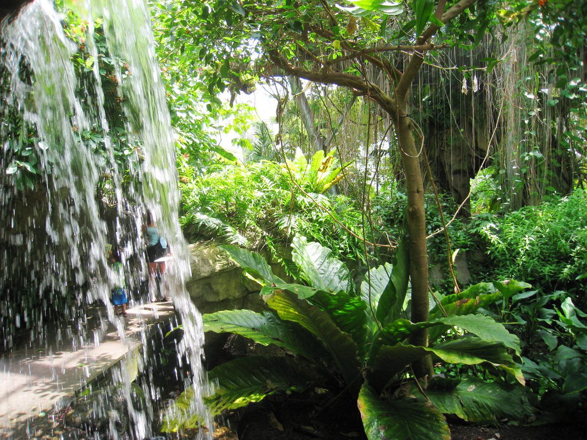 PatelVipra2's tweet photo. One of my favorite places to visit in Cleveland is the Botanical Gardens. It’s just so peaceful and pretty. I enjoy learning about new wildlife and it’s a great spot for pictures  #CSUCOM464 https://t.co/OwyIglCO2F