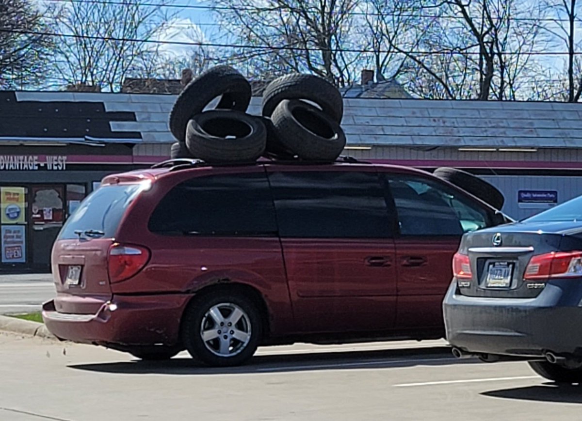 Erraticnormal tweet media