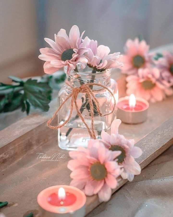 𝓓𝓾𝓷𝓲𝔂𝓪🌍 tweet media