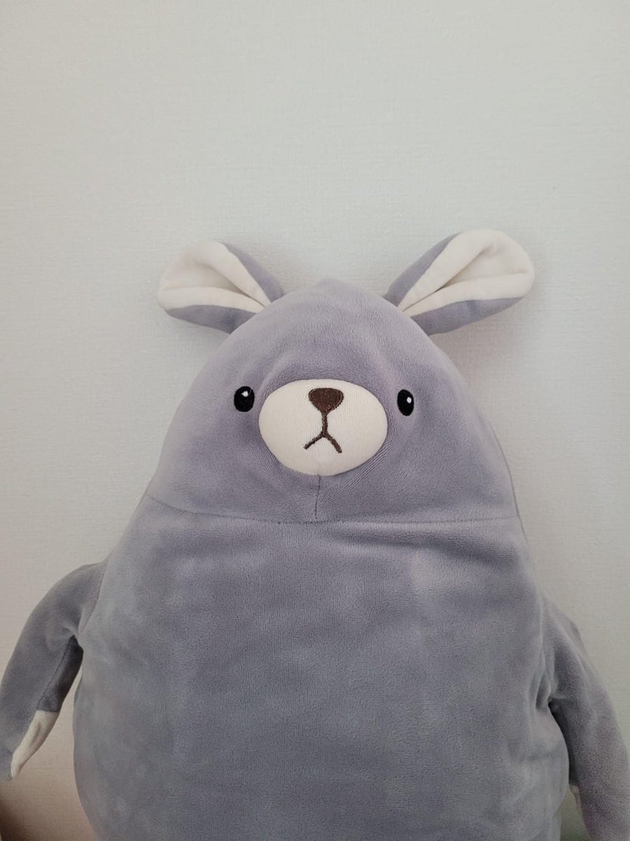 txtnozethinker's tweet photo. bunnies? https://t.co/BGtXhjtjoc