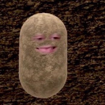 wiz_bean's tweet photo. #NewProfilePic https://t.co/9M0Xtchueo