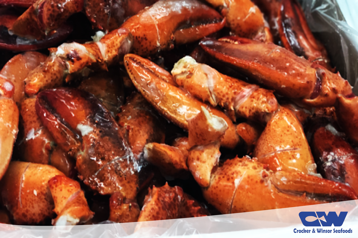 WinsorBayFish's tweet photo. In the spotlight this week are our Scored Lobster Claw &amp; Arms (Product of Canada).  Enjoy meat of the claw and knuckle without the hassle of cracking the shell. Each claw is cut to make for an easy, snap and eat experience.

6-9 ct per lb. (1/10#)

Call to speak with a sales rep! https://t.co/SdzkNWg3DD