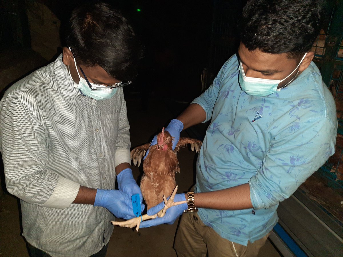 Md.Helal Uddin tweet media