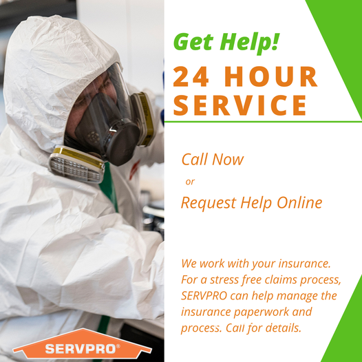 Need help with restoration or repairs? Get it anytime you need it, immediately! Visit our website or give us a call at: (360) 373-1290!