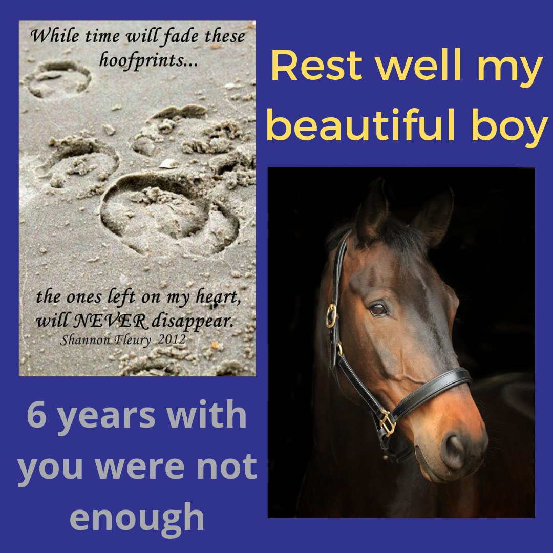 To all my #Equestrian friends, #PonyHour #TheDressageHour #TackRoomFriday
Not having a great week 💔😭
