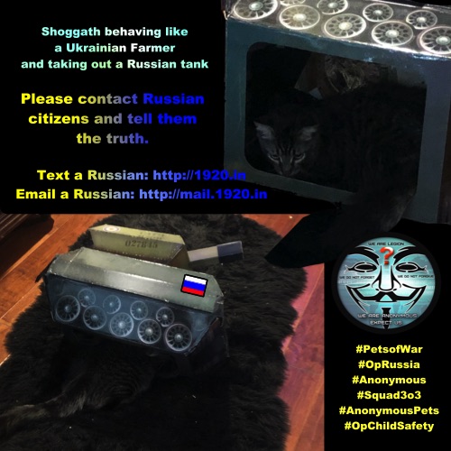 HarmonyUsInc's tweet photo. #shoggath acting like Ukranian farmers and taking tanks #PetsofWar #Catsoftwitter #anonymous #squad 3o3 
https://t.co/fVcG8wSaop https://t.co/T1DtbTSGNn