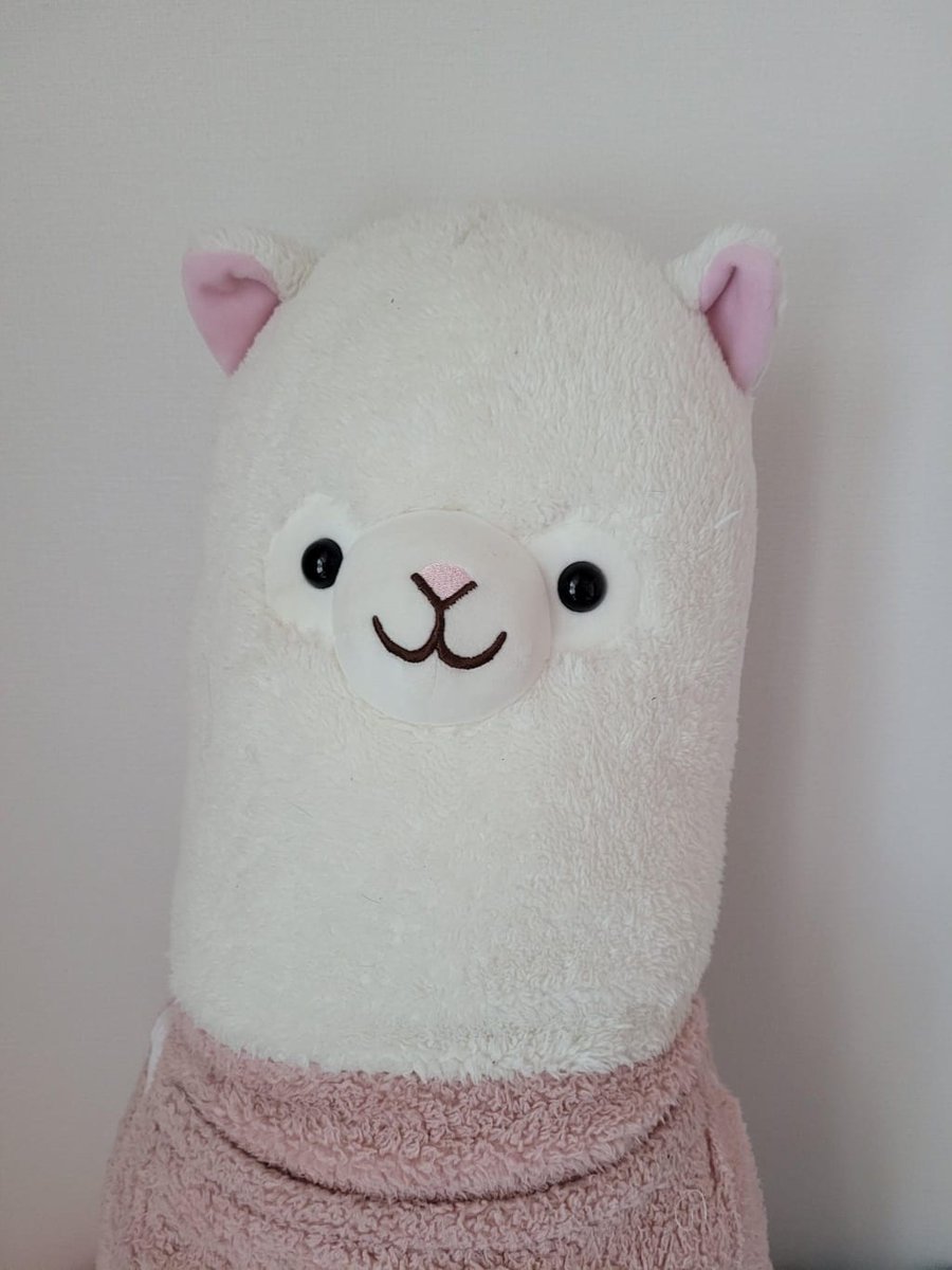 txtnozethinker's tweet photo. alpaca https://t.co/8OE4rVbkpp