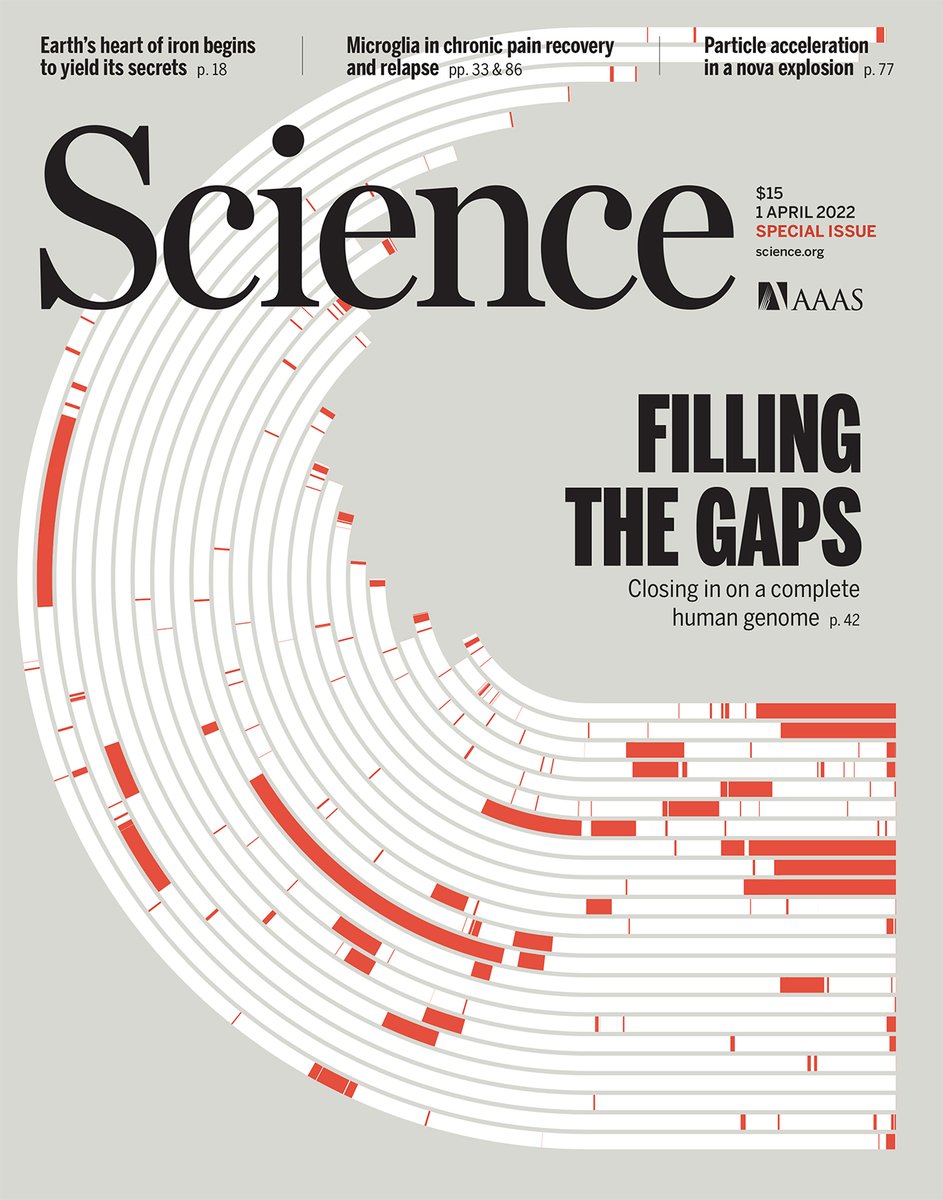 A special section in this week's issue of Science presents research by the Telomere-to-Telomere (#T2T) Consortium, which has completed a challenging 8% of the human genome left unresolved by the initial Human Genome Project.

Read more: fcld.ly/30edgue