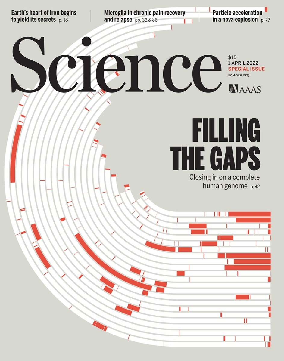 Today is the big day! The #T2T consortium is claiming victory and announcing that we have finally uncovered every last bit of the human genome! The papers are out today 🥳🧬 science.org/toc/science/37…