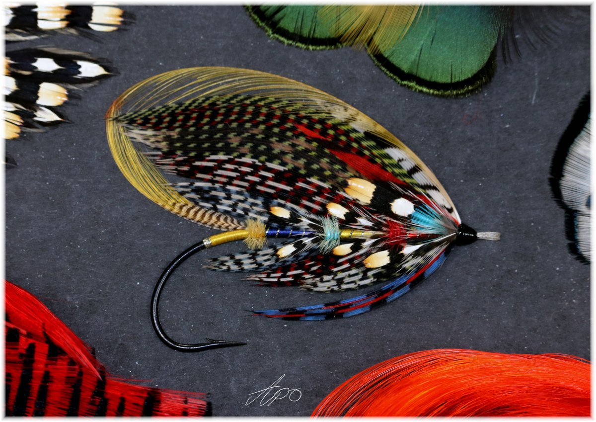 FeathersFins2's tweet photo. Artistic/creative Salmonfly - For Framing
#flyfishing #flytying #salmonfly #salmon https://t.co/Yyht9SmuKp