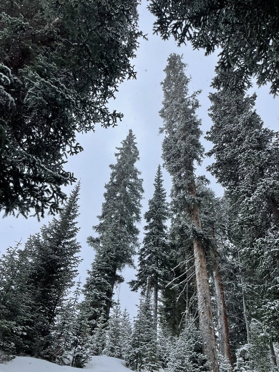 HackettAudra's tweet photo. Greatness can be found in nature and within us all. ~AMH https://t.co/TONxtmMI9P