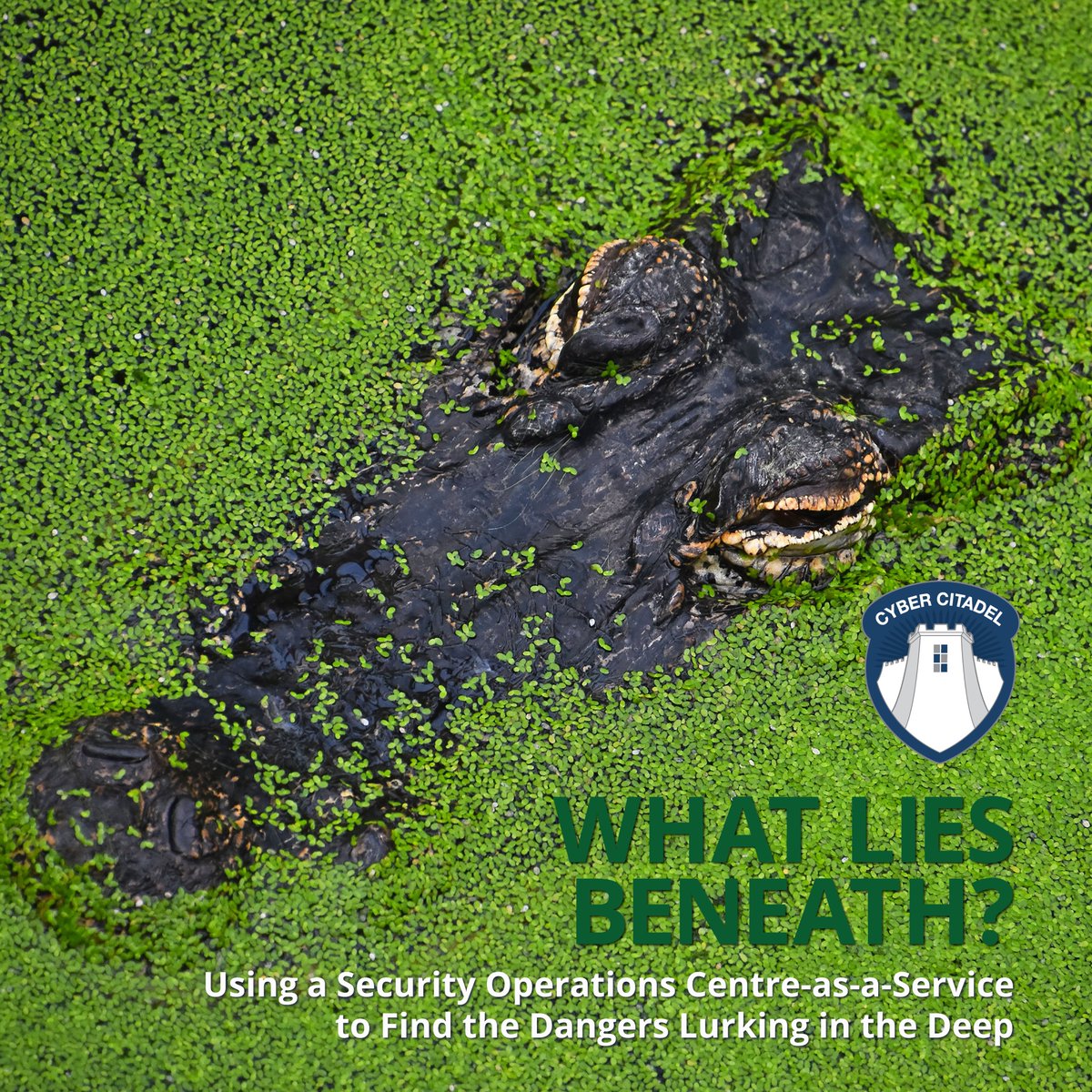 cyber_citadel's tweet photo. Cyber Citadel CEO Jonathan Sharrock explains how a Security Operations Centre as a Service (#SOCaaS) can drastically improve three cyber security risk dependencies: threat, vulnerability and consequence. 

Link to article: https://t.co/nT2WIeHT67 https://t.co/mSi4abGIGp