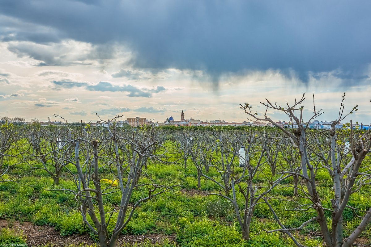 AlexMuozGarc's tweet photo. #Hola hui vesprada de canvis sol #núvols de #virga #quatre #gotes i repetim amb el mateix total la #primavera en estat #pur en l'#horta de #Massamagrell (#València) @AEMET_CValencia
@Massamagrell_Aj  @MeteoMorella @apuntoratge @oratgenet @terravivaapunt @1967fct @avamet https://t.co/V1rEi6aUrt