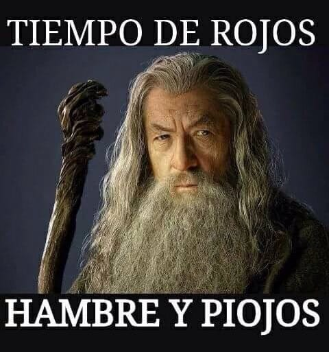 PEPE, en Español (@pepeluspain) on Twitter photo 