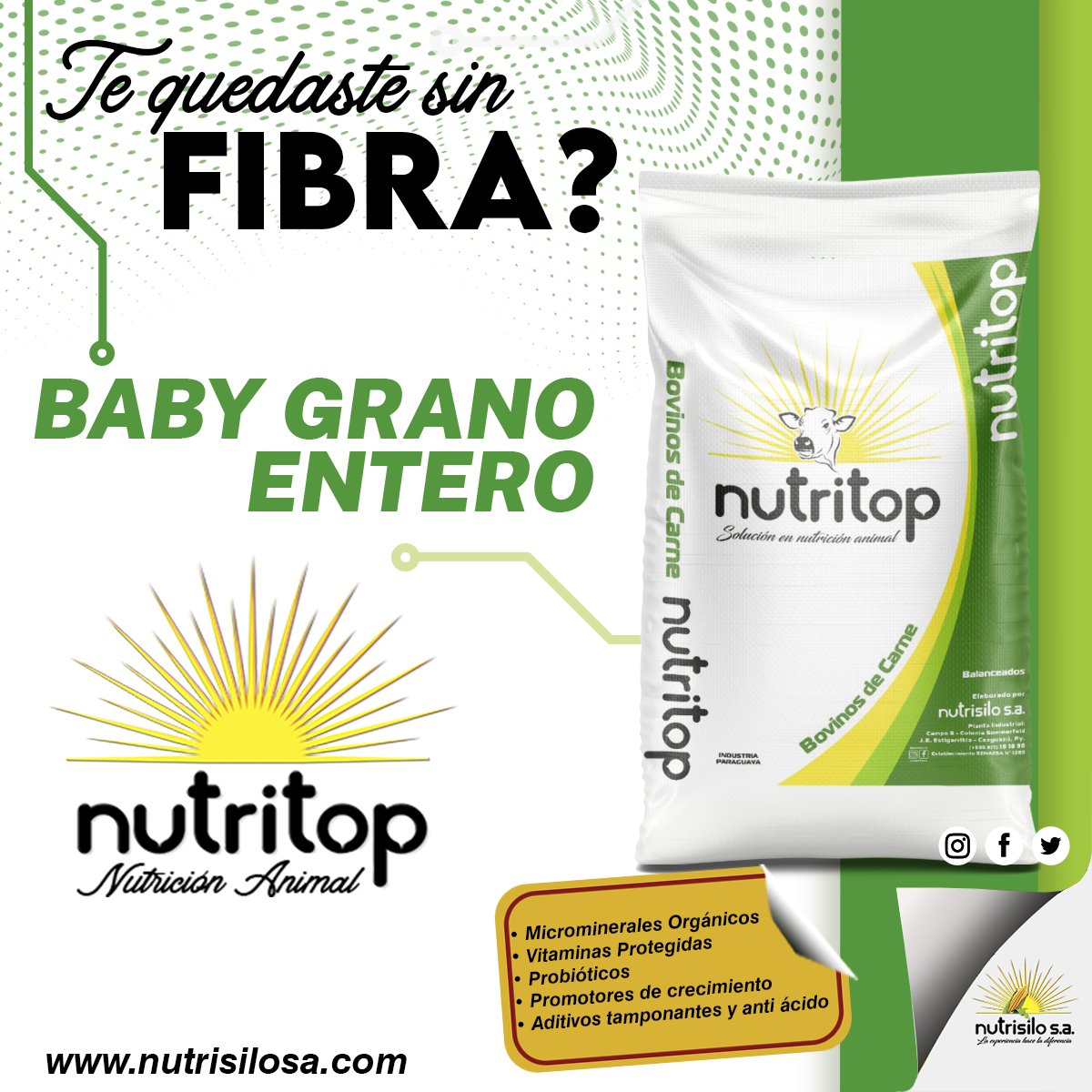 Nutrisilo_SA's tweet photo. Nucleo Proteico Vitaminico Mineral para  animales jóvenes a corral. Pensado para situaciones donde no hay disponibilidad de fibra. 

Se mezcla 15% de Nucleo y 85% de fuente energética (grano de maíz, sorgo, etc) 

Su consumo estimado es de 2.2 a 2.5 % del peso vivo. https://t.co/wOWjOISadr