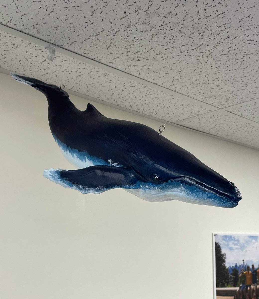 loggerhead_rov's tweet photo. Our team hung up or new “mascot” Boris the whale today! Our students did a great job printing and painting him for our lab! Go Loggerheads!🐋🐋🐋 https://t.co/VhZHLsGplY