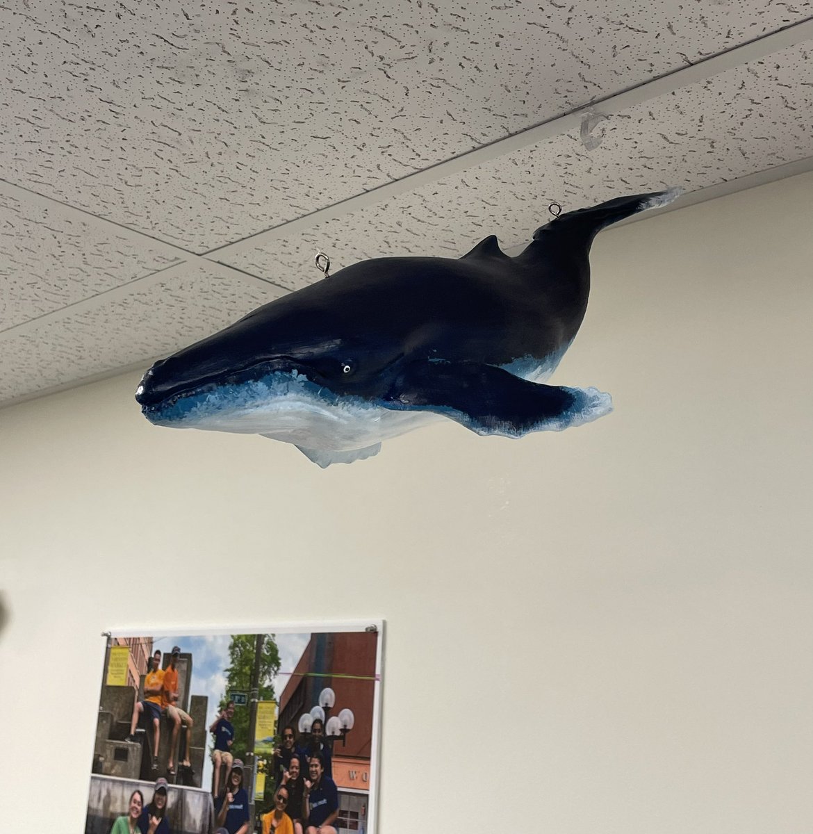 loggerhead_rov's tweet photo. Our team hung up or new “mascot” Boris the whale today! Our students did a great job printing and painting him for our lab! Go Loggerheads!🐋🐋🐋 https://t.co/VhZHLsGplY
