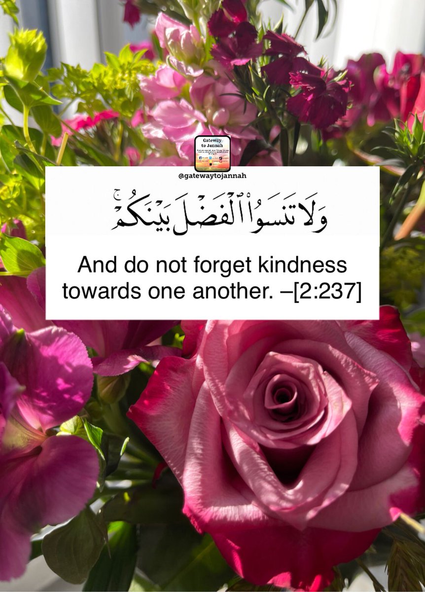ShaheenaZohair's tweet photo. #ProphetMuhammad
#Taste_itsValues
@unlimited_abu https://t.co/oy0RiGKIBz