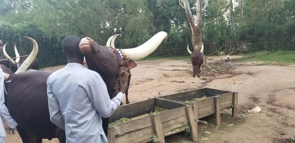 IBERE RYA BIGOGWE🇷🇼 on Twitter: 