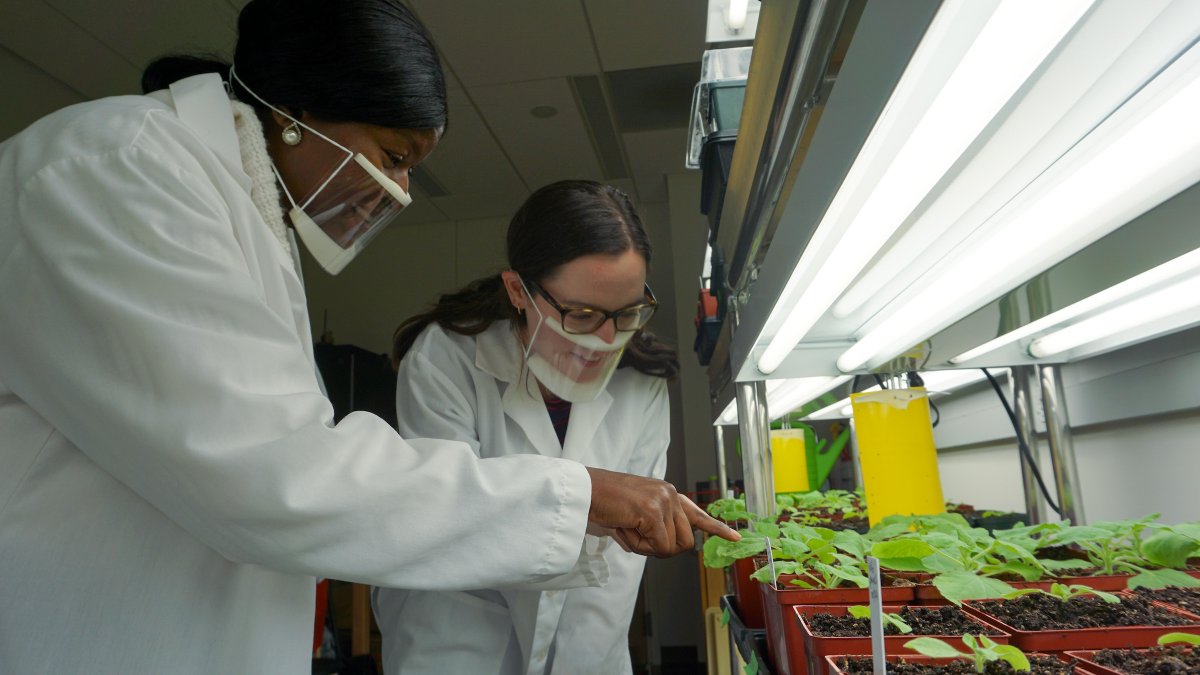 DanforthCenter tweet picture