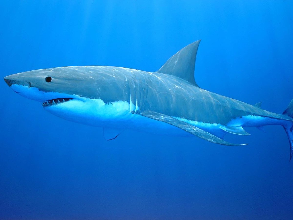 LF Clark tweet media