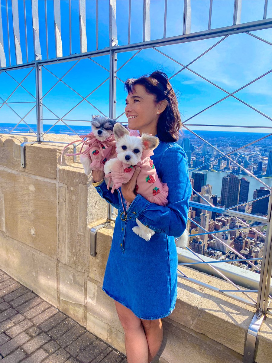 samcarrell's tweet photo. The @EmpireStateBldg is our home away from home and there is nothing like it!
@TINKERBELLEadog #bellethedog 

#esbcreator #esbvip #pupsofnyc #dogsofinstagram #celebritydog #tinkerbellethedog #dogmom #cutedogs #dailysmile #views #ontopoftheworld #nyc https://t.co/O5PYkXDJRy