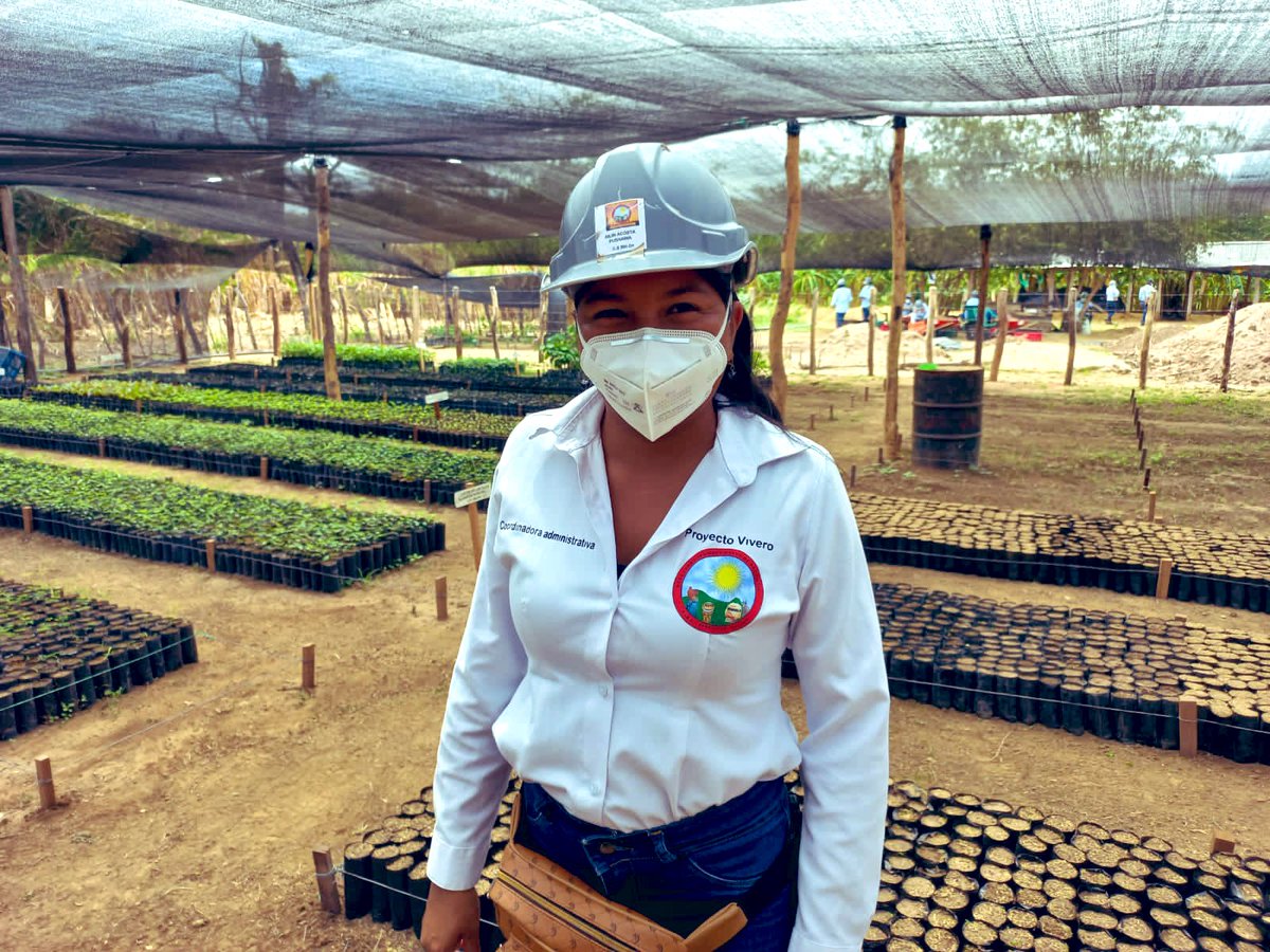 madrinan_luis's tweet photo. Hoy me he sentido muy feliz de ver hecho una realidad un sueño que he tenido desde hace mucho.  Fortalecer a una comunidad indígena a través de soluciones basadas en la naturaleza.  Hoy la alianza entre @CerrejonCol y el resguardo indígena de Provincial nos muestra el camino 🧵 https://t.co/1GhqVjkmmz