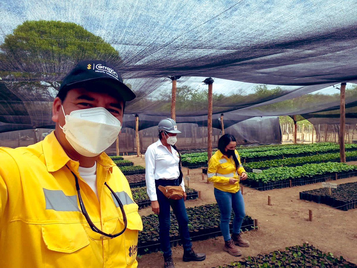 madrinan_luis's tweet photo. Hoy me he sentido muy feliz de ver hecho una realidad un sueño que he tenido desde hace mucho.  Fortalecer a una comunidad indígena a través de soluciones basadas en la naturaleza.  Hoy la alianza entre @CerrejonCol y el resguardo indígena de Provincial nos muestra el camino 🧵 https://t.co/1GhqVjkmmz
