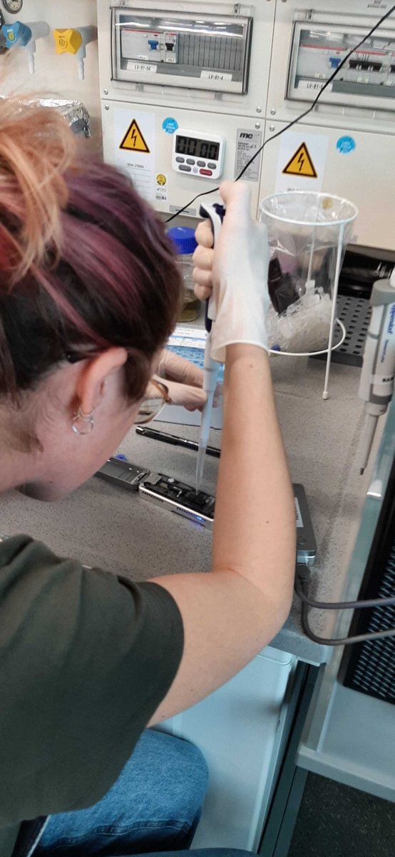 And once the 🦠🧪🧫 babies grow ....time for some <a href="/nanopore/">Oxford Nanopore</a> 🧬sequencing by <a href="/myricae90/">Martina Cardoni</a> under the trusting supervision 👀of <a href="/Chavarroccx/">Edgar Chavarro</a> ! 👌 💪😍