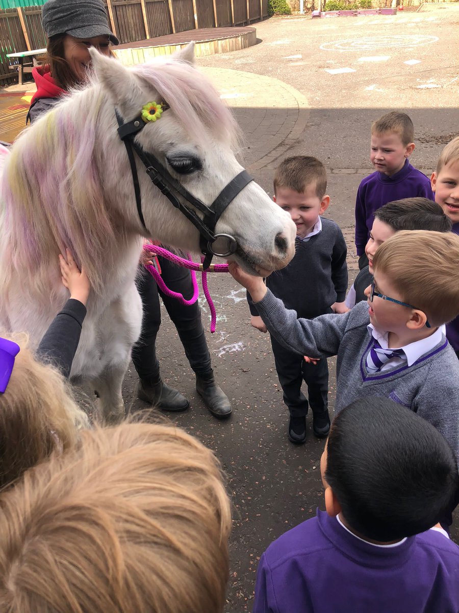 All Saints Primary School, Greenock tweet media