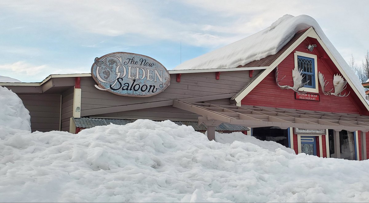 Wrangells's tweet photo. I hope the snow melts by the time Tall Tales happens here in August!
#snowload #deepsnow #crazywinter #mccarthyalaska #wrangellstelias #thegoldensaloon
Photo (repost) by Dave Hollis https://t.co/XfVsDurREM