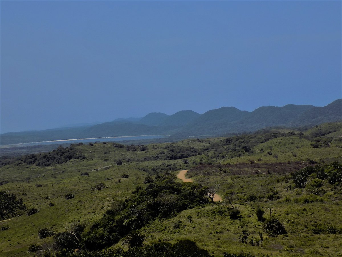 Different grassland management strategies are used in various areas of the Park. The Eastern Shores is closely linked to the Lake St Lucia ecosystem with variation in topography and vegetation as it is closer to the sea. Here management is more intensive than other Park sections.