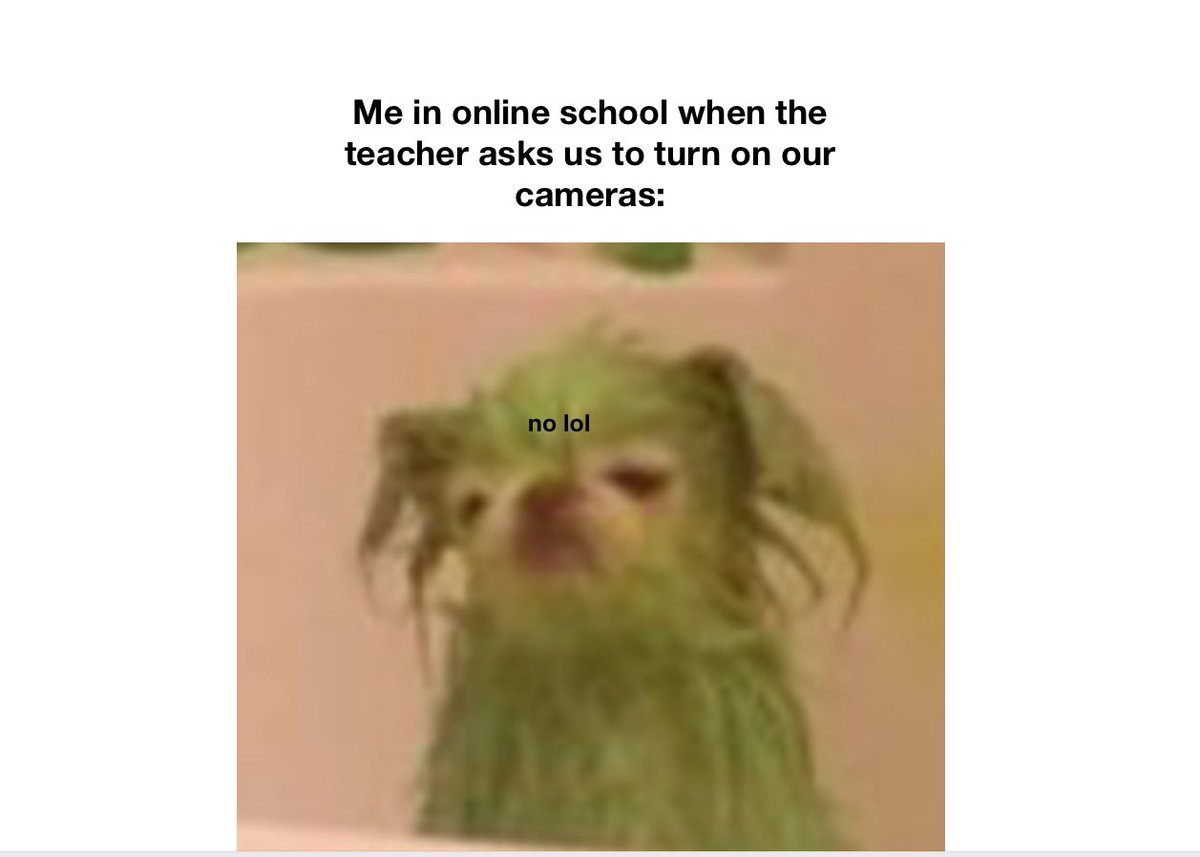 OideElish's tweet photo. One of our March #literacy challenges was to create a meme about school life. Some very funny and accurate ones were submitted 😂 @Kingswoodcc16 #multiliteracy https://t.co/I6mrExM37t