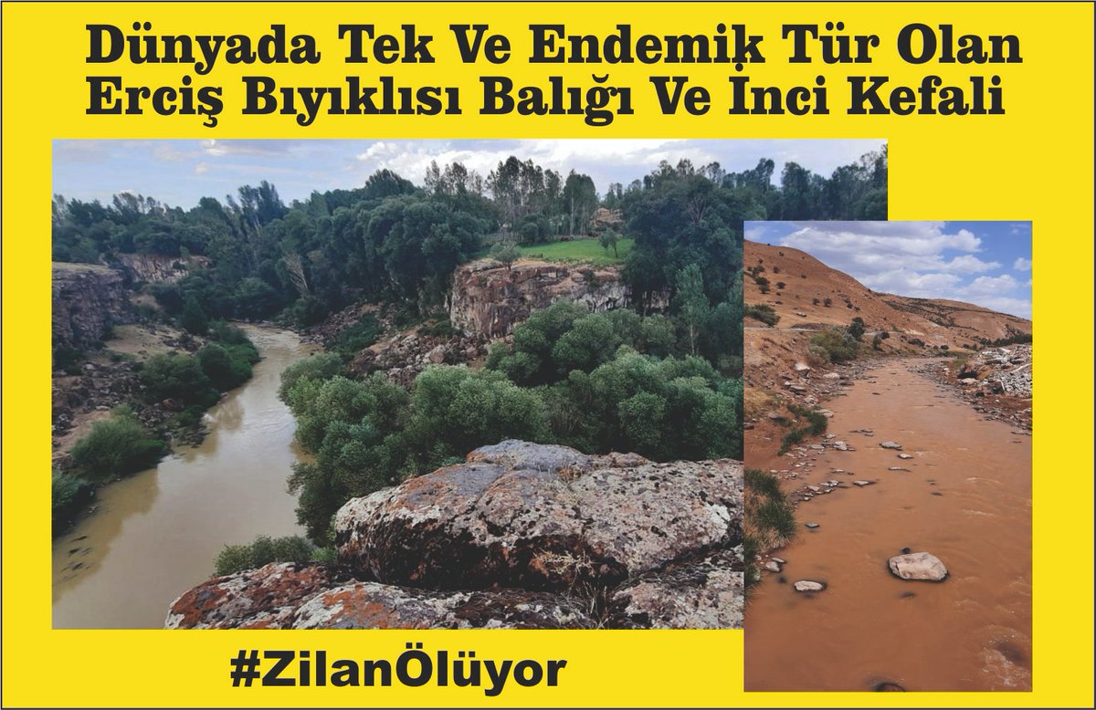 #ZilanÖlüyor Tüm dostlara Zilan Vadisi’ni yaşatmak için destek talebinde bulunuyoruz✊🏽 <a href="/SaruhanOluc/">Saruhan Oluç</a> @MuratCepniHDP <a href="/meraldanis/">Meral Danış Beştaş</a> <a href="/av_ebrugunay/">Ebru Günay</a> <a href="/zuleyhagulum/">Züleyha Gülüm</a> <a href="/dersimdag21/">Dersim Dağ</a> <a href="/Feleknasuca/">Feleknas Uca</a> 
<a href="/ErcisHdp/">Dem Parti Erciş</a> <a href="/mithatsancarr/">Mithat Sancar</a> <a href="/avhuseyinkacmaz/">Hüseyin Kaçmaz</a> <a href="/GaroPaylan/">Garo Paylan - Կարօ Փայլան</a> <a href="/ayseacar_b/">Ayşe Acar Başaran</a> <a href="/HudaKaya777/">Hüda Kaya</a> <a href="/DrSaitDede/">Dr. Sait Dede</a>