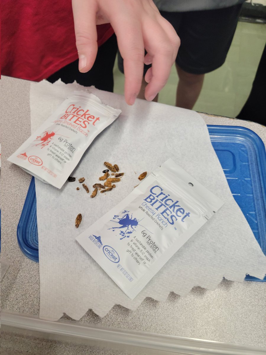 WendyWcsd's tweet photo. @GayheadWCSD Students are trying new things, by eating crickets. https://t.co/NqEJfH38wM
