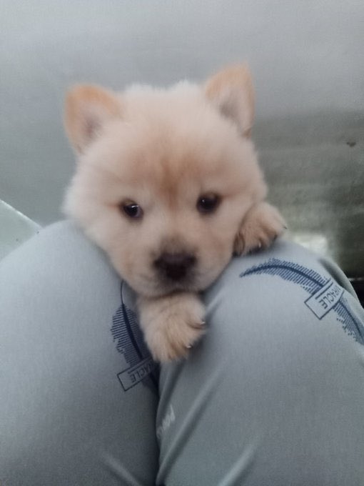 0140 <a href="/RFB0BZ/">รถไฟบ๊อบ ปิดแลว</a> บ้อกอ้อน