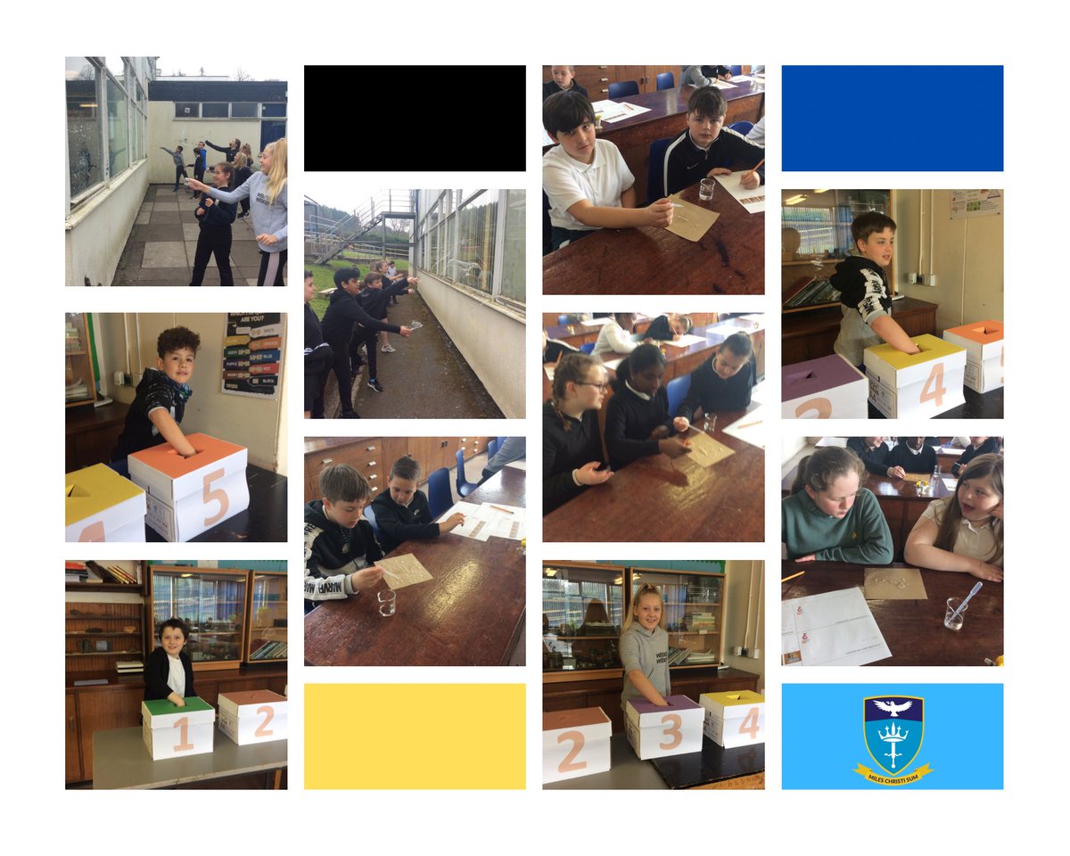 St Alban's Science tweet media