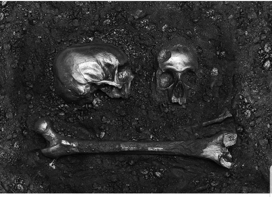 layosartista's tweet photo. @tzProfiles 
Nft 
#nft #tzprofiles #art #sculpture #skull https://t.co/01hmLdSExO