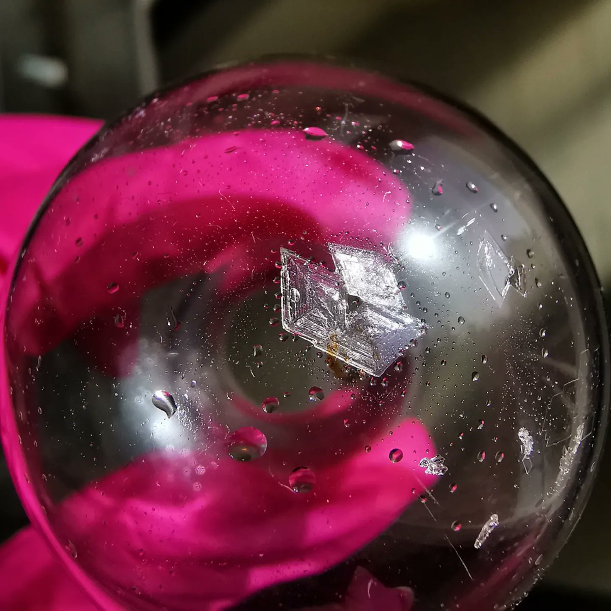 OpsenicaLab's tweet photo. #orgchem #opsenicalab #reaction #chemistry #organic #science #laboratory #organicchemistry #realtimechem #lookatthatpink #hotpink #serbianscience #universityofbelgrade #facultyofchemistry #compound #pink #flask #laboratorylife #phd #academia #heterocycles #phdlife #crystals https://t.co/tQDgNFhM5g