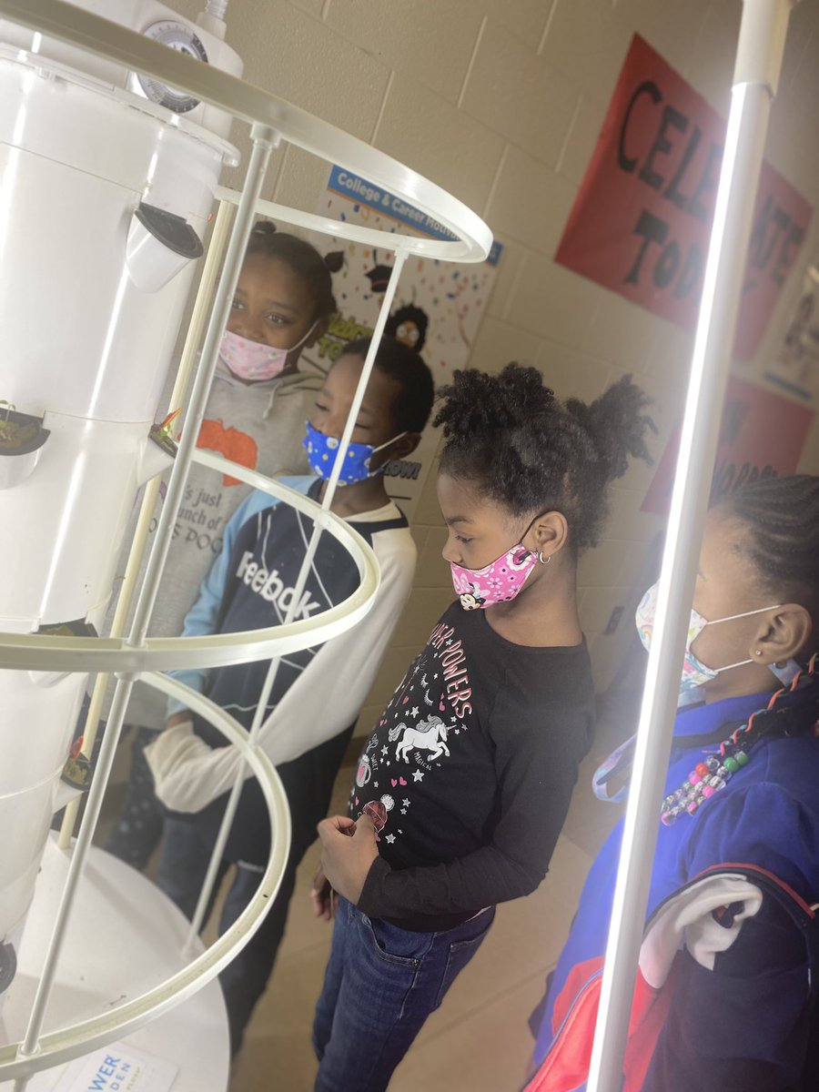 Megan Bland tweet media