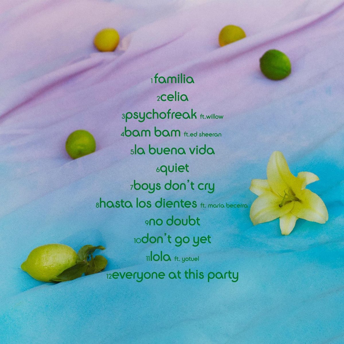 SonyMusicCol's tweet photo. @Camila_Cabello reveló la lista de canciones de su próximo álbum 🌼❤️ #Familia https://t.co/YNSaBzgVIK