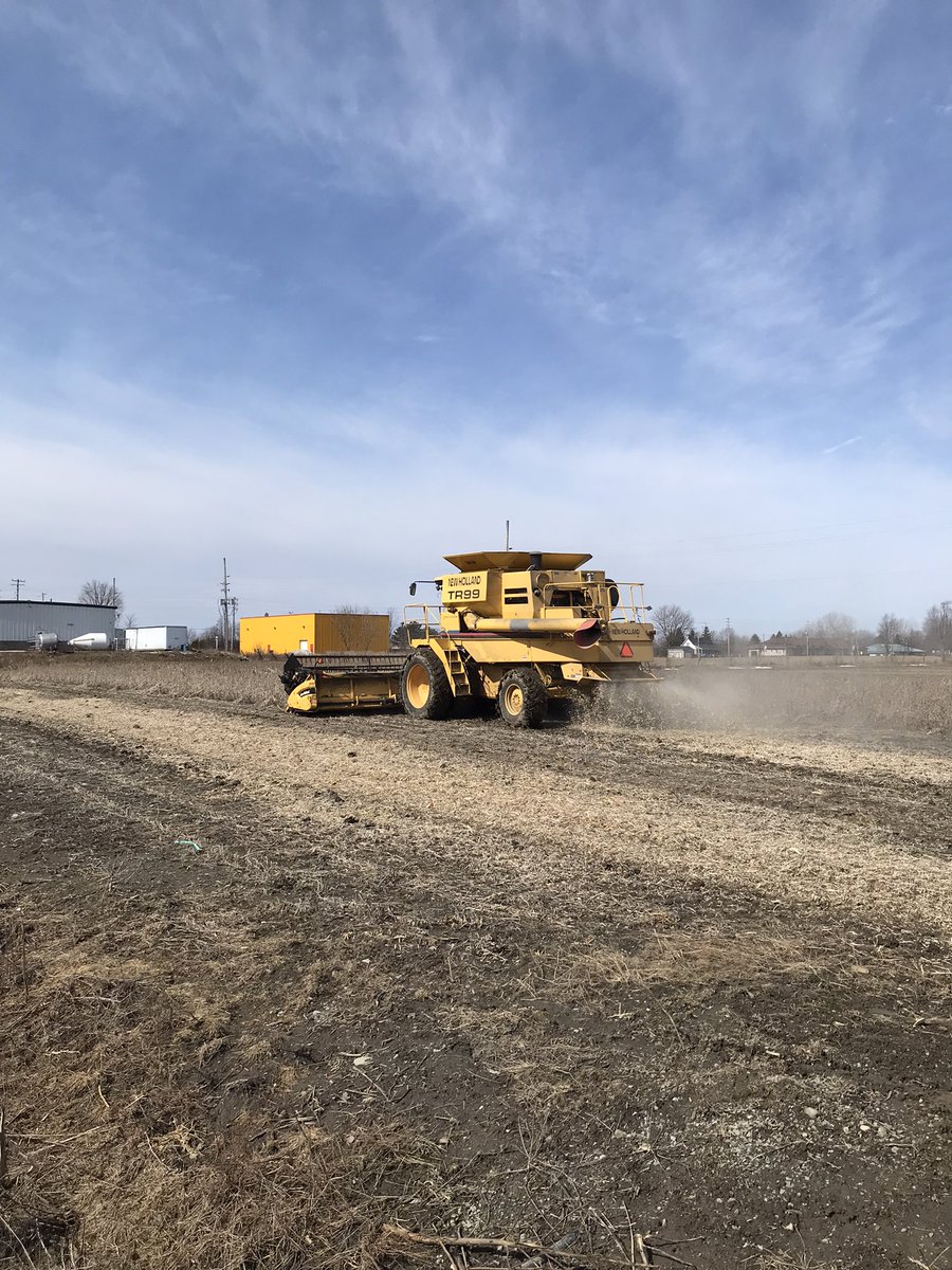 Adrian Lee tweet media