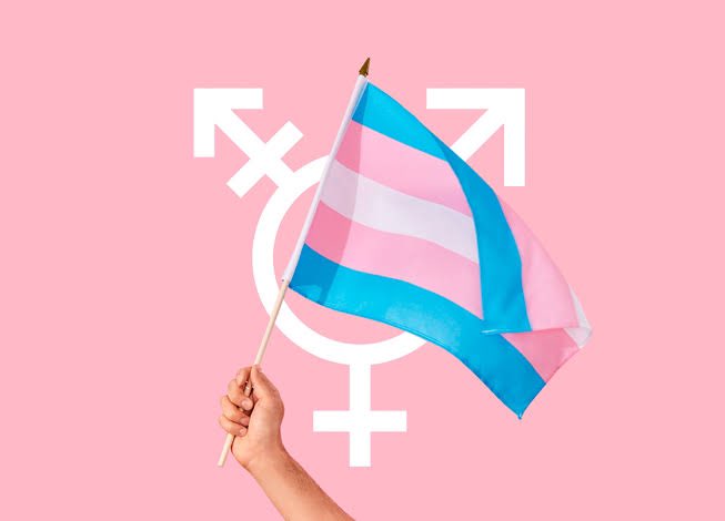 Guanajuato Film Fest tweet media