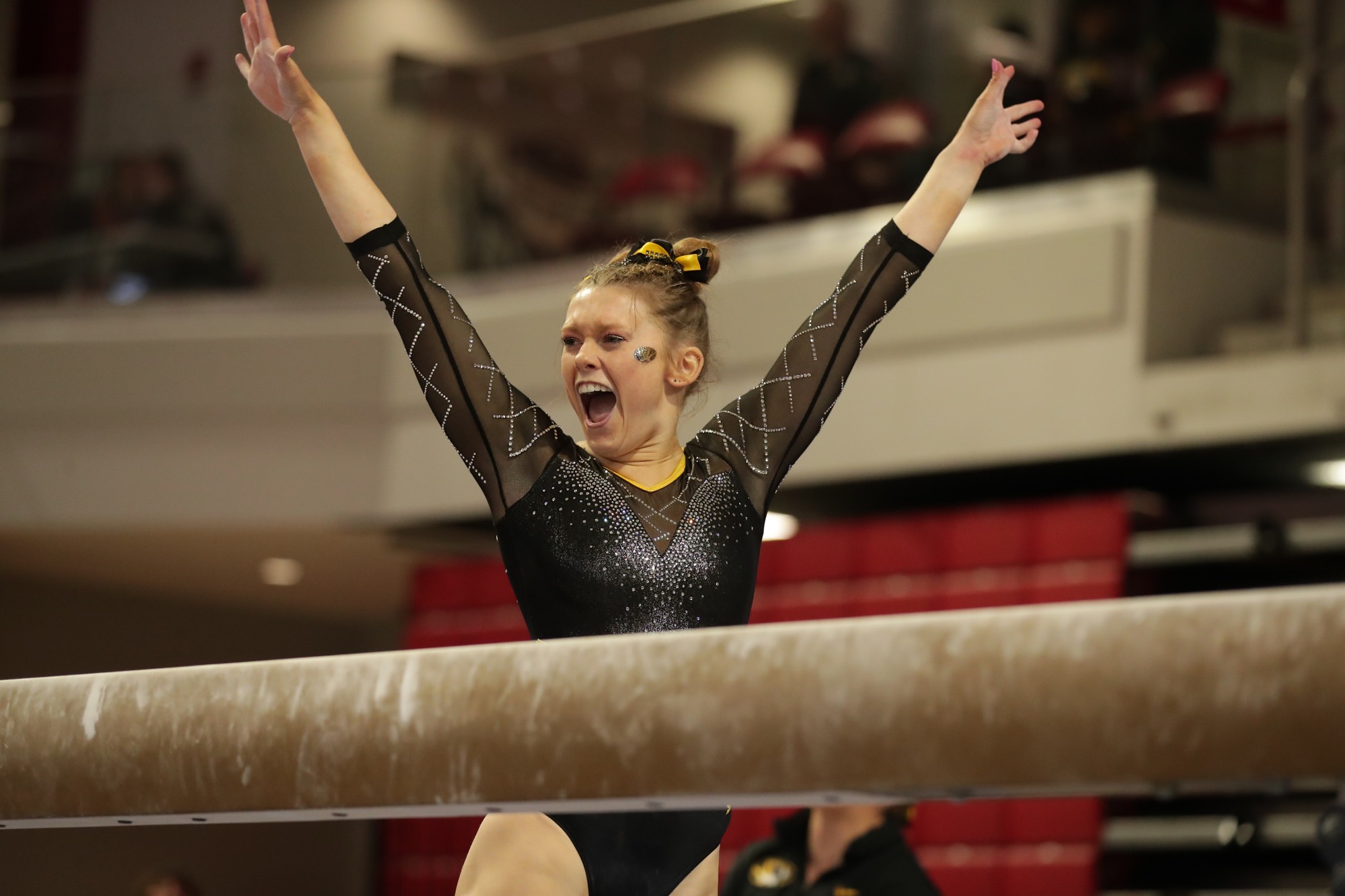 Mizzou Gymnastics (MizzouGym) / Twitter