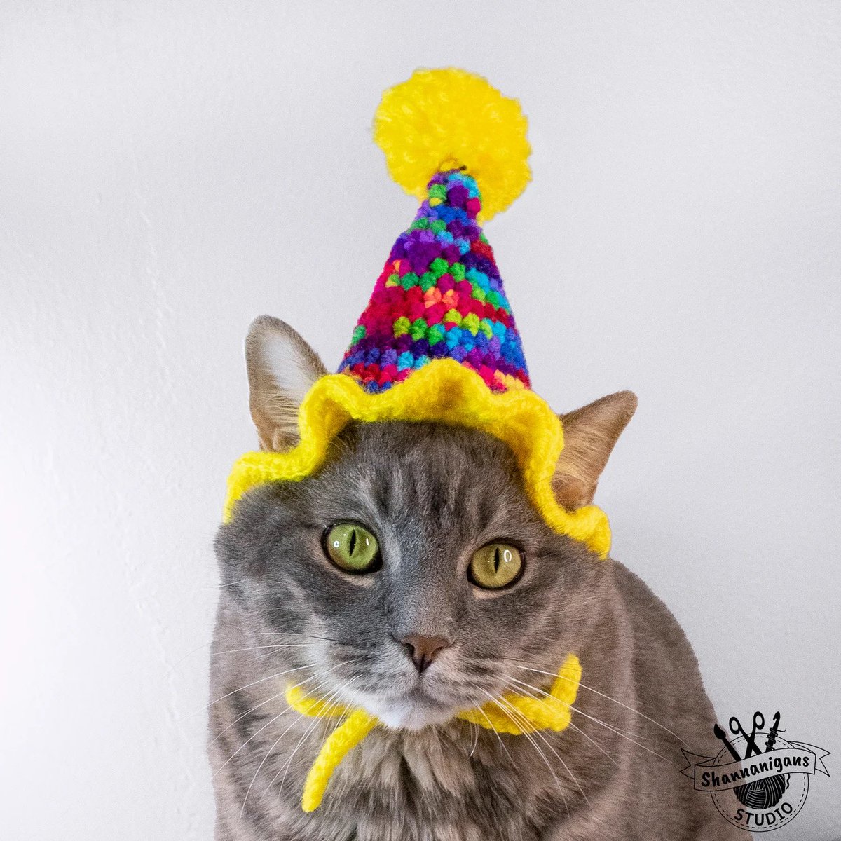 ShannanigansST's tweet photo. I’ve been neglecting twitter. Here are some new crochet cat products from the past few months. 😻❤️
#hatsforcats #catfashion #cataccessories #catcollars #crochetforcats https://t.co/ZfYNERkfqm
