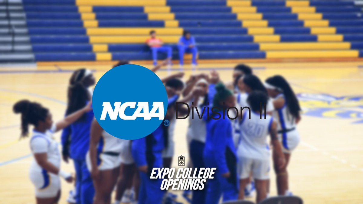 NCAA Division II Women’s Basketball program looking to recruit &amp; OFFER! 🔍🏀 

✔️ Scholarships available!

College Coaches will view this thread! ⤵️

⬇️ DROP FILM &amp; RETWEET ⬇️

Reach EVERY Coach: bit.ly/372Zz42