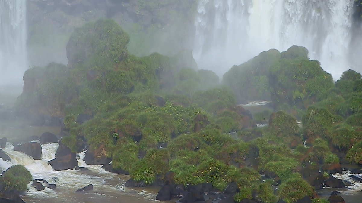『イグアス国立公園』は、滝だけでなく…周囲に広がる＜熱帯雨林＞も大切な要素です。激しい水しぶきは、豊かな生物を育みます。ブラジル側が広いのは、森です！