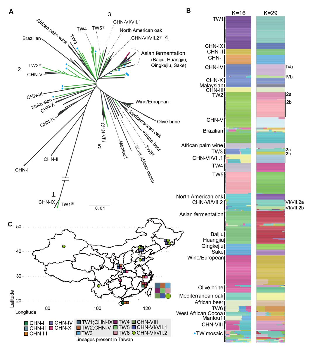ishengtsai's tweet photo. Super excited to share our research published on @genomeresearch . We reveal the presence and infer the life histories of 9 predomesitcated S. cerevisiae lineages in Taiwan. They coexist at fine spatial scale even on the same tree!
https://t.co/6CiBDemaAB https://t.co/RVfcFYAKwu