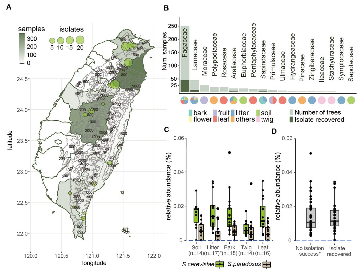 ishengtsai's tweet photo. Super excited to share our research published on @genomeresearch . We reveal the presence and infer the life histories of 9 predomesitcated S. cerevisiae lineages in Taiwan. They coexist at fine spatial scale even on the same tree!
https://t.co/6CiBDemaAB https://t.co/RVfcFYAKwu