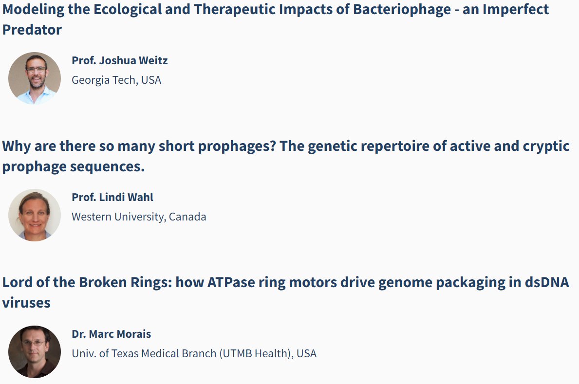 VirusOfMicrobes's tweet photo. Topics: #modeling, #phageecology, #phagetherapy, #prophages, #crypticprophages, #DNApackaging, #dsDNAphages 2/ https://t.co/kDcrIJ6ZXM